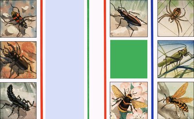 Todo tipo de insectos de English School