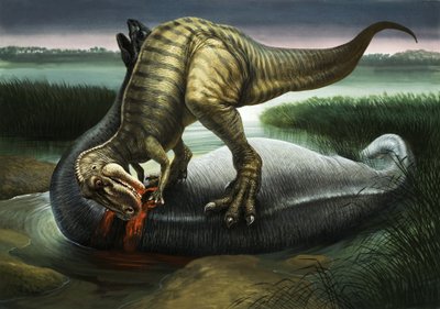 Allosaurus comiendo un Apatosaurus de English School