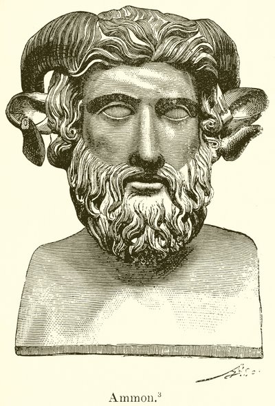 Amón de English School