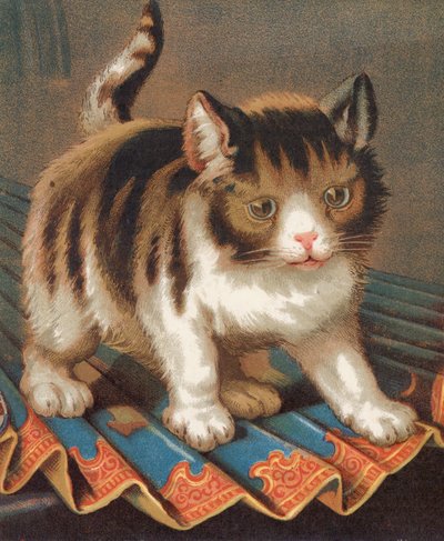 Un gato ambicioso (litografia en color) de English School