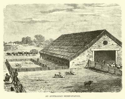 Una estación de ovejas australiana de English School