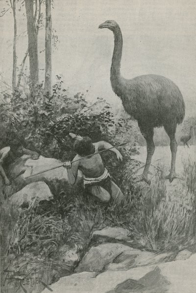 Un habitante extinto de Nueva Zelanda de English School