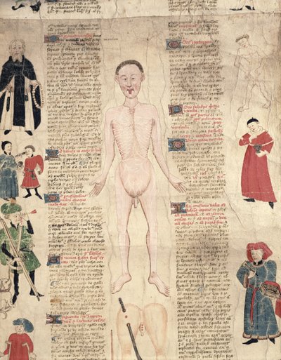 Diagrama anatómico, de De arte phisicali e de cirugia por John Ardene, 1412 de English School