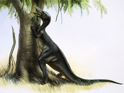 Anatosaurus de English School