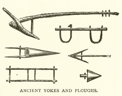 Yugos y arados antiguos de English School