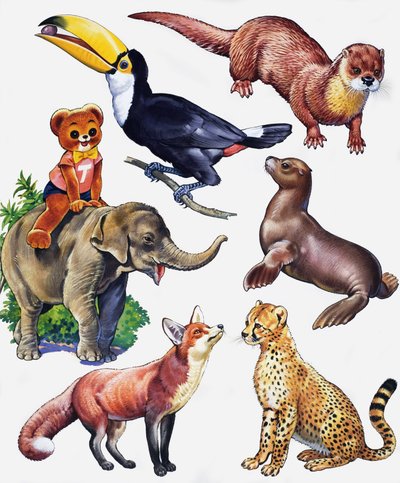 Montaje de animales de English School