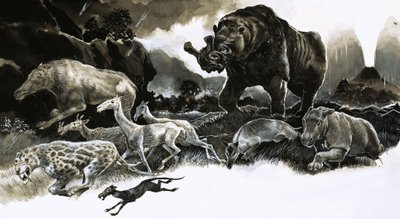 Animales de la Era Oligocena de English School
