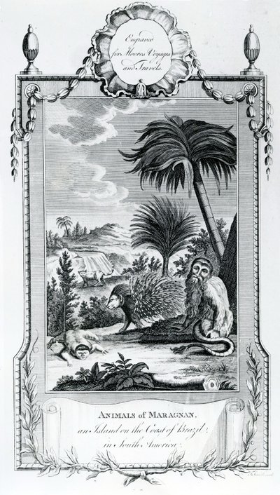 Animales de Maragnan, ilustración tomada de los Viajes y Aventuras de Moore, 1778 de English School