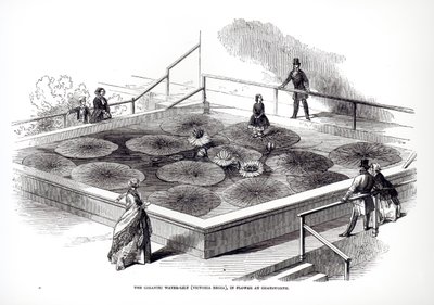 Annie Paxton sobre el lirio de agua Victoria regia en el Gran Invernadero en Chatsworth, 1849 de English School