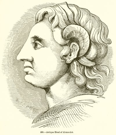 Cabeza antigua de Alejandro de English School