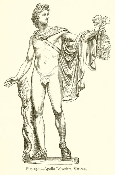 Apolo Belvedere, Vaticano de English School