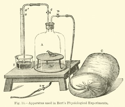 Aparato utilizado en los experimentos fisiológicos de Bert de English School