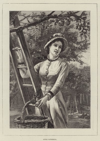 Recolección de Manzanas (grabado) de English School