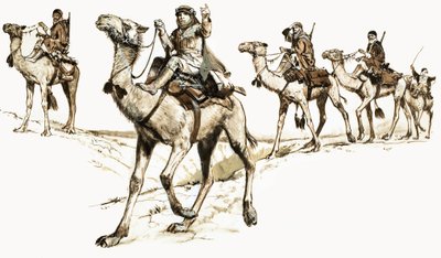 Árabes cruzando el desierto en camellos de English School