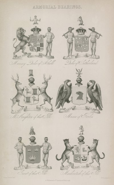 Escudos de armas de English School