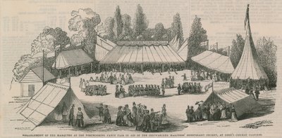 Disposición de las carpas de English School