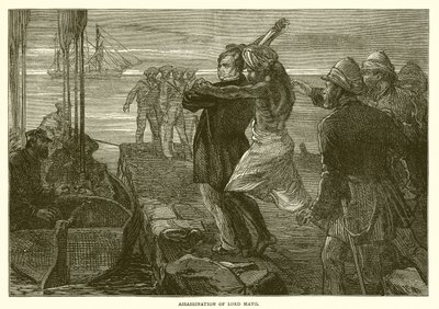 Asesinato de Lord Mayo (1872) de English School