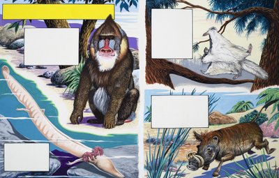 Animales variados de English School