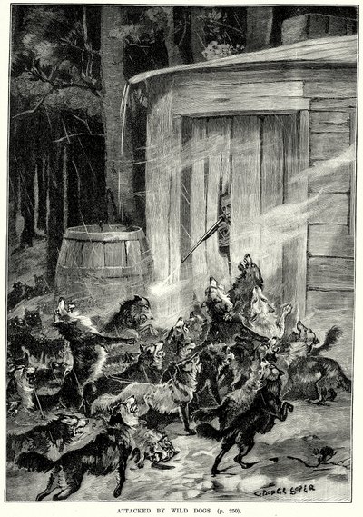 Atacado por perros salvajes (grabado) de English School