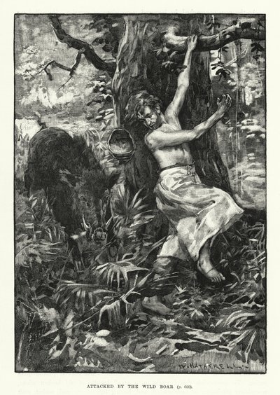 Atacado por el jabalí de English School
