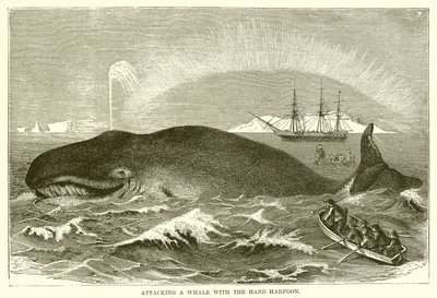 Atacando una ballena con el arpón de mano de English School
