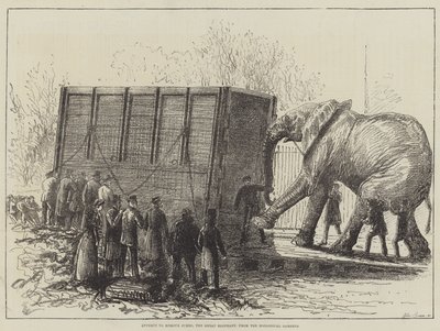 Intento de Remover a Jumbo, el Gran Elefante, de los Jardines Zoológicos de English School