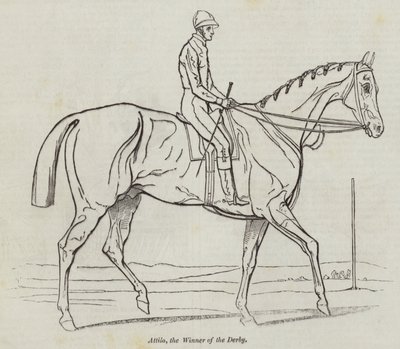Attila, el ganador del Derby de English School