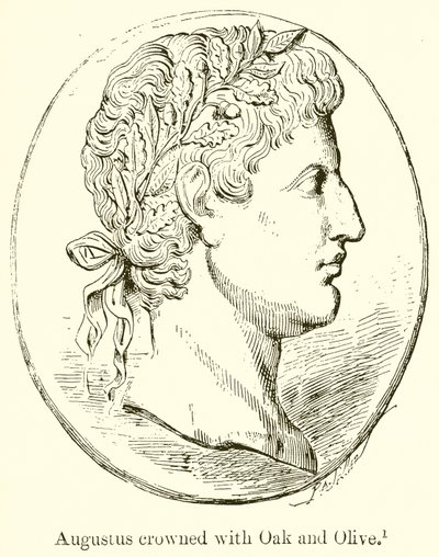 Augusto coronado con roble y olivo de English School