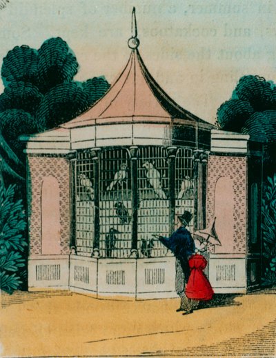 Aviario para loros y cacatúas en el zoológico de Londres. 1840s de English School