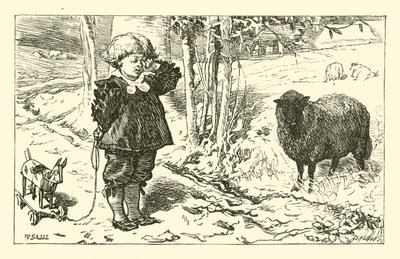 Baa, Baa, Oveja Negra de English School