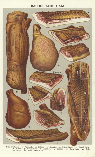 Tocino y jamón de English School