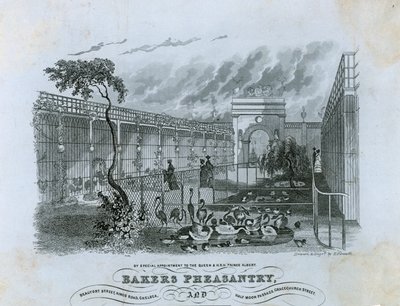 Bakers Pheasantry, Chelsea de English School