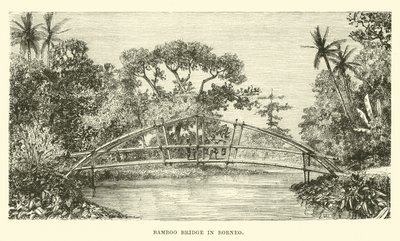 Puente de bambú en Borneo de English School