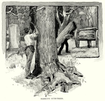 Árboles de caucho que ladran (grabado) de English School