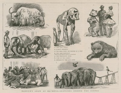 Espectáculo de Barnum en Olympia - bocetos detrás de escena de English School