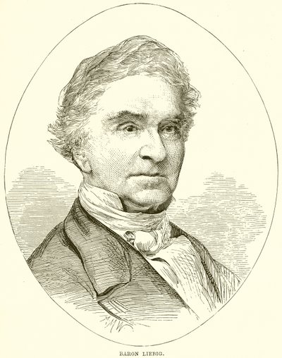 Barón Liebig de English School