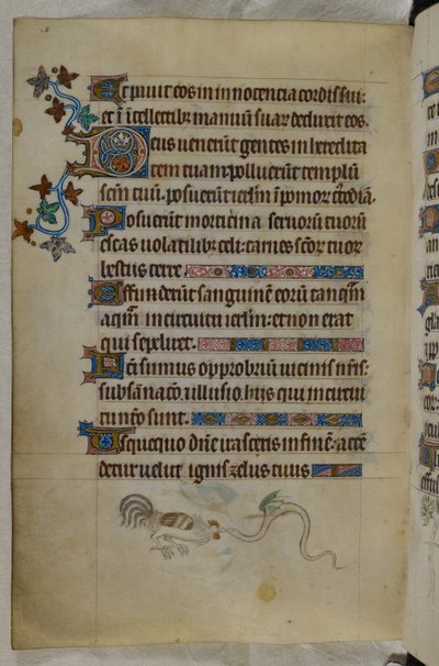 Escena en página baja de un gallo y una serpiente alada luchando, con la inicial "D"(eus) decorada, Salterio ("The Queen Mary Psalter"), Royal MS 2 B VII, f.187v, c.1310-20 (vitela) de English School