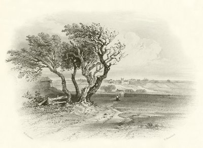 Campo de batalla de Prestonpans de English School