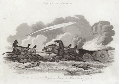 Batalla de Waterloo de English School