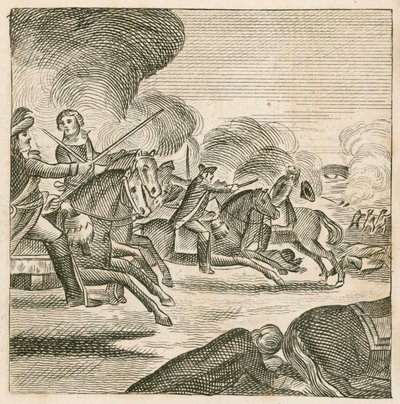 Batalla de la Boyne, Irlanda de English School