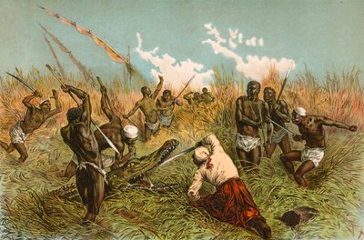 Batalla con un cocodrilo de English School