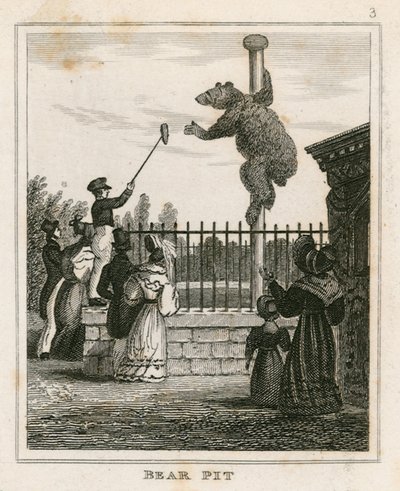 Foso de osos, Jardines Zoológicos de Londres, Regents Park de English School