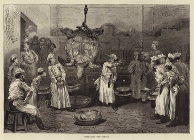 Decapitación de la tortuga de English School