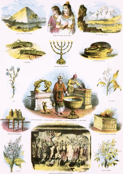 Ilustraciones bíblicas de English School