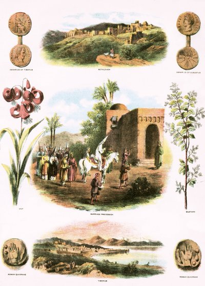 Ilustraciones bíblicas de English School