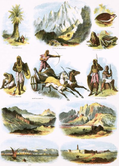 Ilustraciones Bíblicas de English School
