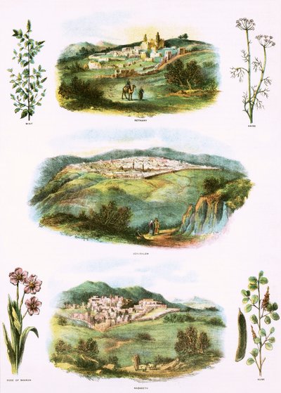 Ilustraciones bíblicas de English School