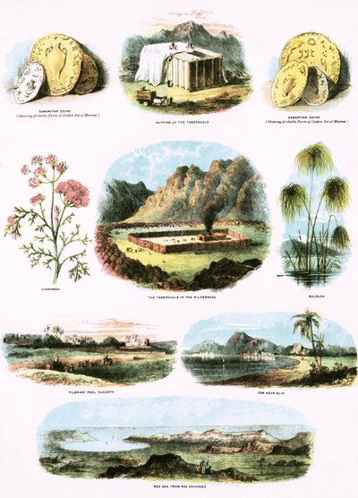 Ilustraciones bíblicas de English School