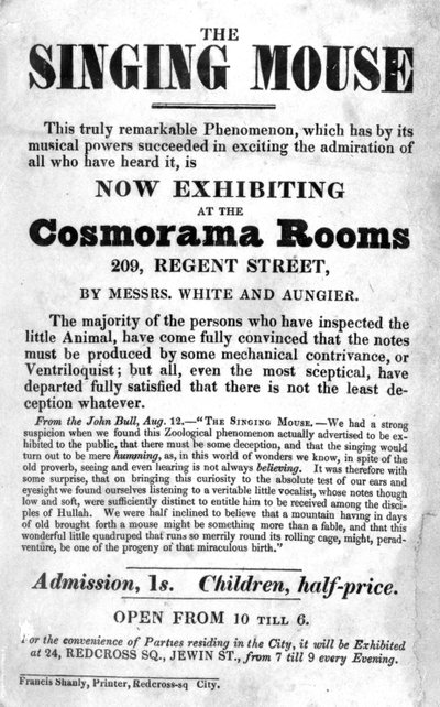 Cartel de la exposición The Singing Mouse en las Cosmorama Rooms, 209 Regent Street, c. 1836 de English School