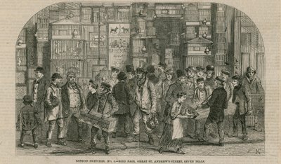 Feria de aves, Great St Andrews Street, Seven Dials, Londres de English School